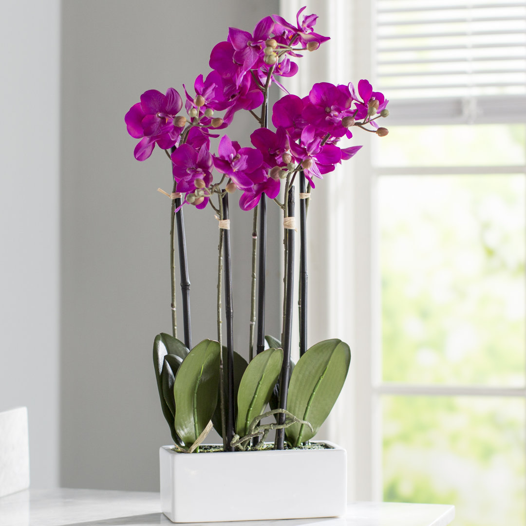 Fisk 21" Artificial Purple Orchid